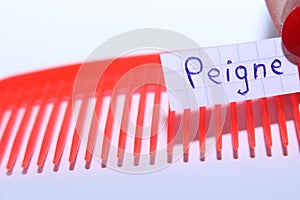 Peigne word in French for Comb in English