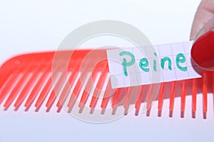 Peine word in Spanish for Comb in English