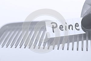 Peine word in Spanish for Comb in English