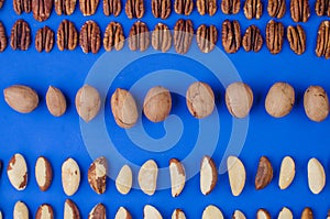 Pekan and brazil nuts on blue background. Healthy food