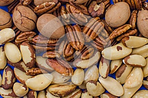 Pekan and brazil nuts on blue background. Healthy food