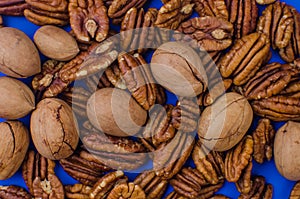 Pekan and brazil nuts on blue background. Healthy food