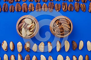 Pekan and brazil nuts on blue background. Healthy food photo