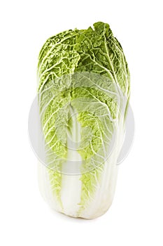 Peking (celery) cabbage isolated