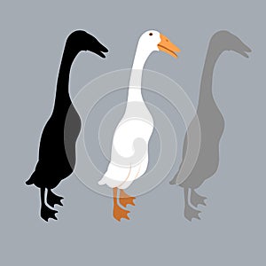 Peking duck vector illustration Flat set