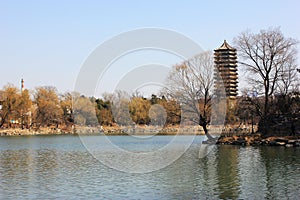 Peking university
