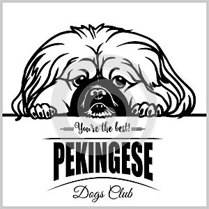 Pekingese - vector illustration for t-shirt, logo and template badges