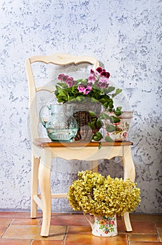 Pelargonium, fuchsia and hydrangea indoor