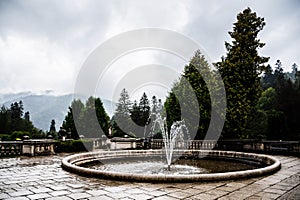 Peles castle garden photo