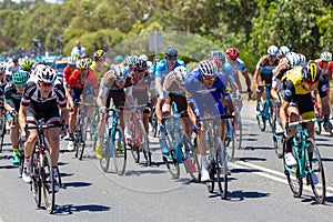 The Peleton on the final stage of Stage 3 of the Tour Down Under