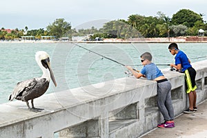 Pelican and boys fishing in Key West, Florida Keys