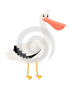 Pelican cartoon bird icon