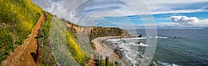 Pelican Cove Super Bloom Panorama