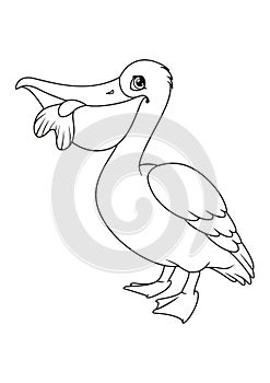 Pelican with fish in its beak coloring page