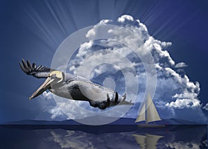 A pelican flees an approaching storm in an ocean scene with a sailboat and threatening sky background.