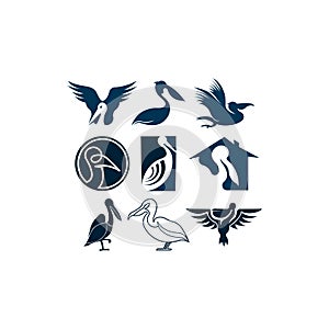 Pelican icon vector, logo concept of pelican , flamingo