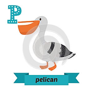 Pelican. P letter. Cute children animal alphabet in vector. Funny cartoon animals