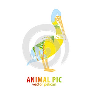 Pelican and palm trees