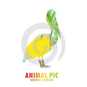 Pelican and palm trees