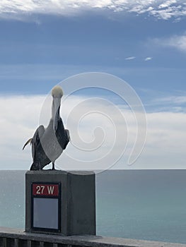 Pelican Perching on Pier at Pensacola Beach