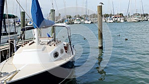Pelican on a post near a sailboat tied to the dock in marina in with duck swimming in water behind the boat