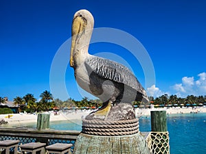 Pelican Stature