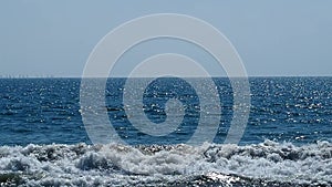 Pelican swimming alone at Pacific ocean