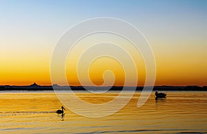 Pelican swims across liquid gold water with moat moored farther out under sky merging from orange to blue at sunset behind