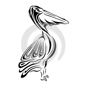 Pelican waterfowl silhouette in black, drawn with different lines. Design is suitable for tattoo, logo, exotic bird emblem