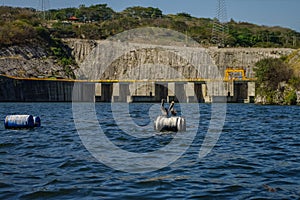 Pelicans in Chicoasen Hydroelectric Reservoir in the end of S photo