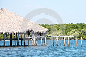 Pelicans embracing the sun