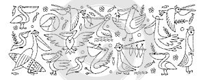 Pelicans family. Funny characters. Colouring page. Horizontal frame for your design - banners, cards, print, mugs etc