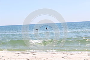 Pelicans flying over White Sand Beach