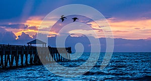 Pelicans Over the Fishing Pier