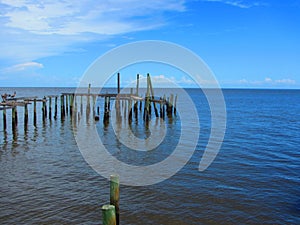 Pelicans and sea birds on old wooden piers photo