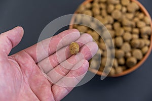 Pellet of dry food for neutered and spayed dogs lies in the palm of man`s hand. Adult male is holding the pellet in round shape.