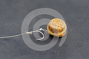 Pellet on a hair with band. Banded pellet. Bait for carp. Barbless hook tied with a knotless knot
