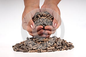Pellets- biomass
