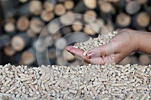 Pellets- biomass