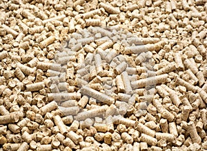 Pellets Biomass- close up studio shot