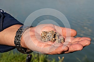 Pellets in the fisherman& x27;s hand. A fisherman with bait. Close-up of a hand holding feed. Colorful view, blurred
