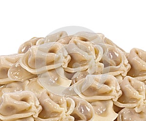 Pelmeni close up