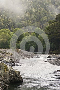 Pelorus River