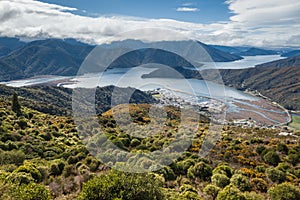 Pelorus Sound and Havelock town in Marlborough region of South Island, New Zealand