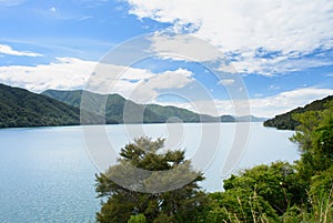 Pelorus Sound in New Zealand