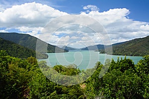 Pelorus Sound seen from Cullen Point Lookout