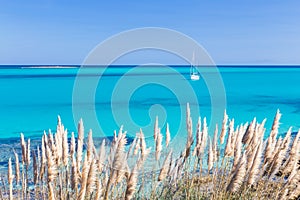 Pelosa beach, Sardinia, Italy.