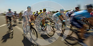 Peloton of bicycle riders during a race