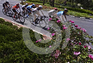 peloton of bike riders in a race