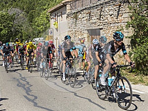 The Peloton on Mont Ventoux - Tour de France 2016